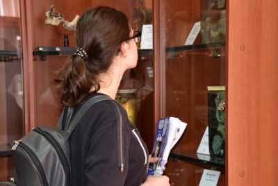 Ziua Ușilor Deschise 2017