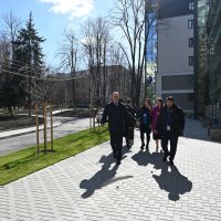 acreditare internațională 